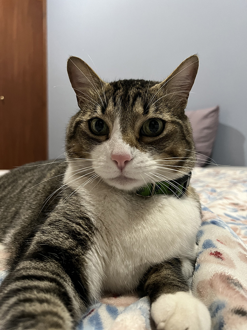Arturo